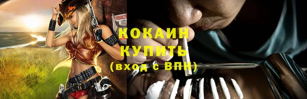 ГАЛЛЮЦИНОГЕННЫЕ ГРИБЫ Богданович