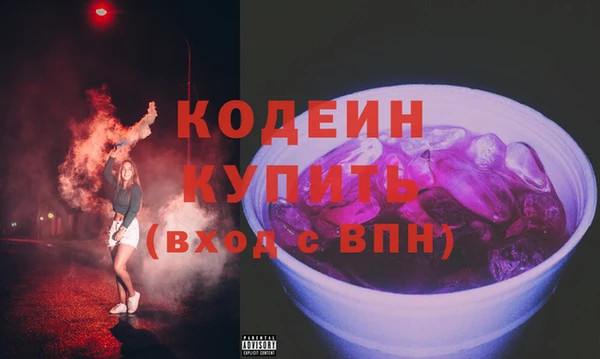 гидра Богородицк