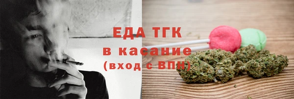 гидра Богородицк