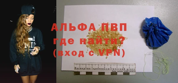 гидра Богородицк