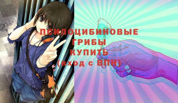 ГАЛЛЮЦИНОГЕННЫЕ ГРИБЫ Богданович