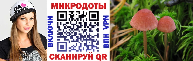 Галлюциногенные грибы Psilocybe  Гусь-Хрустальный 